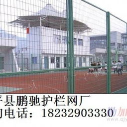 篮球场围栏网 品质与安全之选 — 安平县鹏驰护栏网厂专注球场围网定制