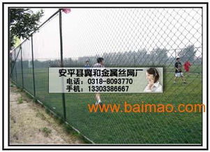 安平县冀和金属丝网厂 专业批发不锈钢网、防护网、冲孔网、电焊网与球场围网